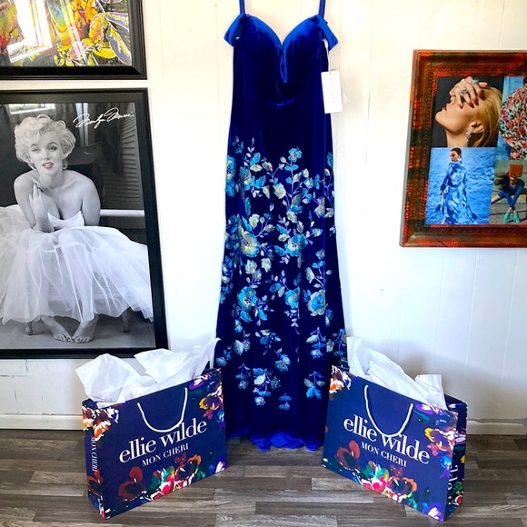 ellie wilde Dresses & Skirts - ‼️ NWT ELLIE WILDE MON CHERI GOWN SIZE 10 homecoming / prom